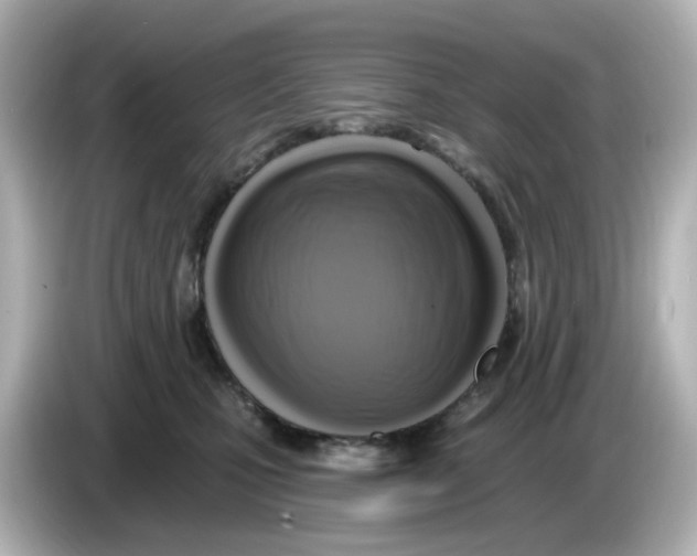 X0000085770471200704091356