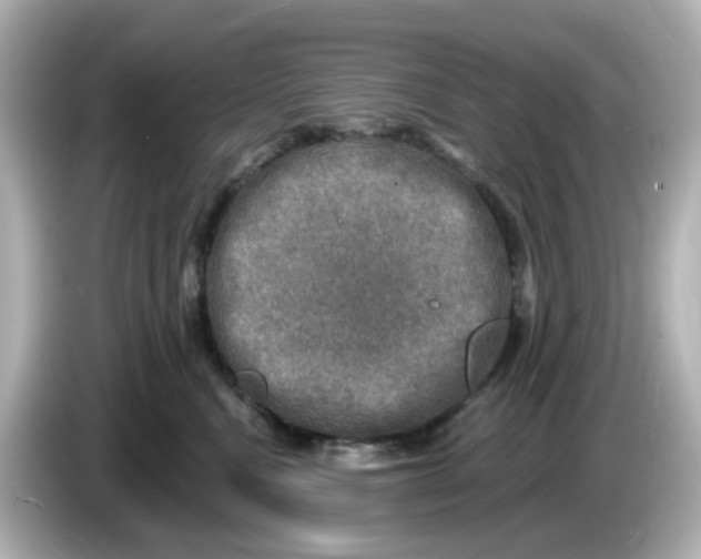 X0000085770472200704091356