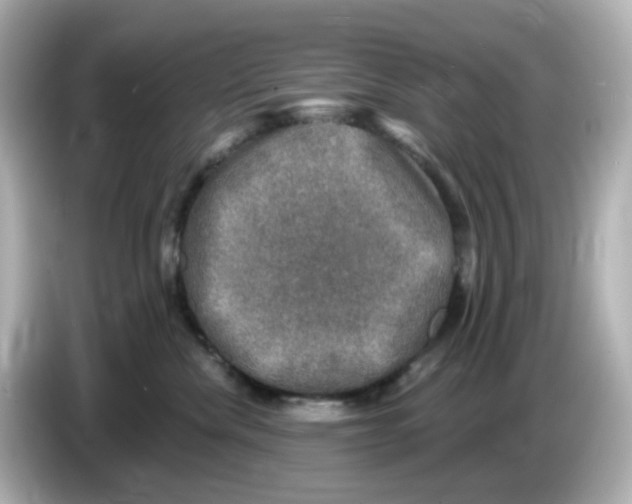 X0000085770476200704091356