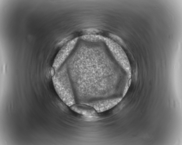 X0000085770477200704091356