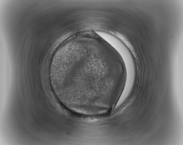 X0000085770481200704091355