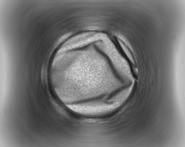 X0000085770482200704091355