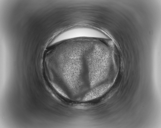 X0000085770485200704091355