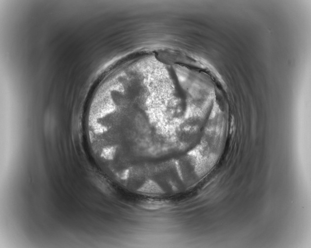 X0000085770487200704091355