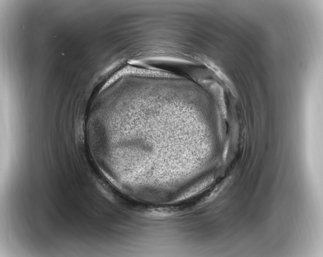 X0000085770489200704091355