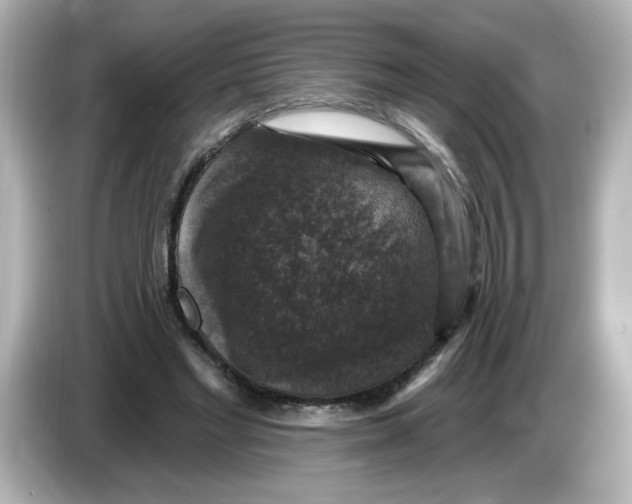 X0000085770493200704091355