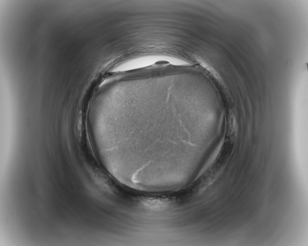 X0000085770494200704091355