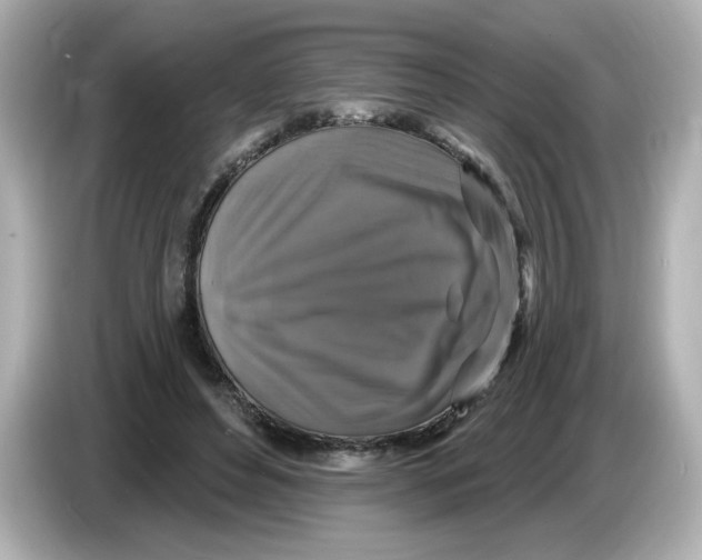 X0000085770496200704091355