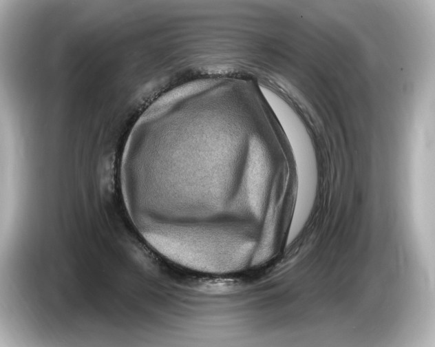 X0000085770497200704091355