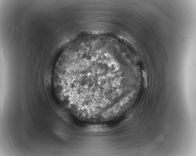 X0000085770499200704091355