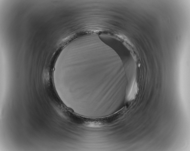 X0000085770500200704091355