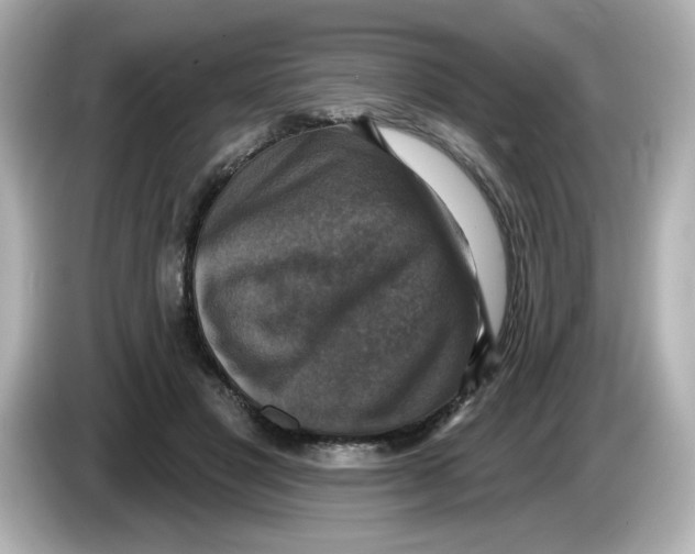 X0000085770501200704091355