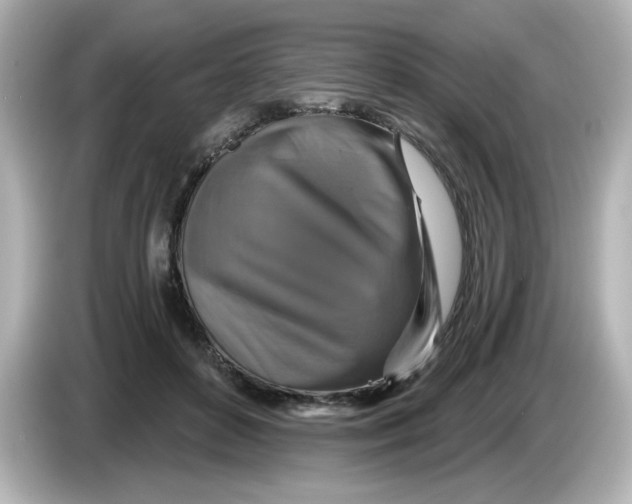 X0000085770504200704091355