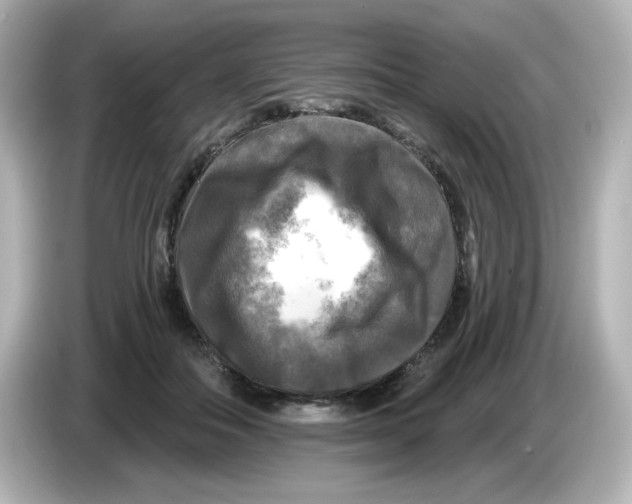 X0000085770506200704091355