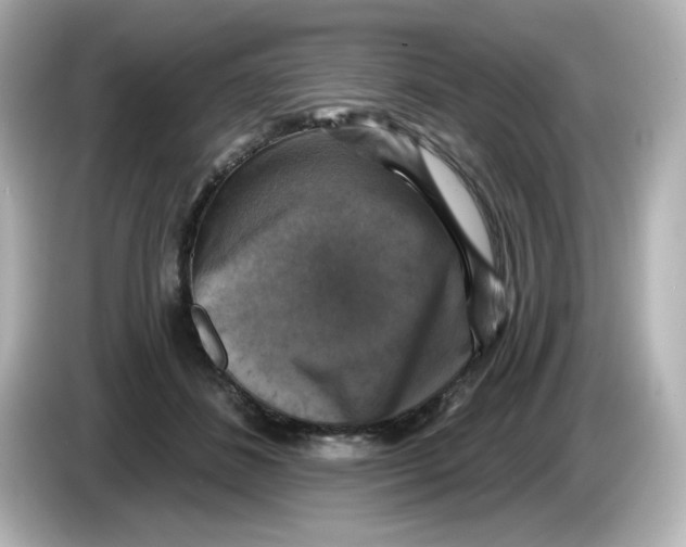 X0000085770508200704091355