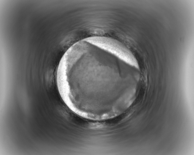 X0000085770511200704091355