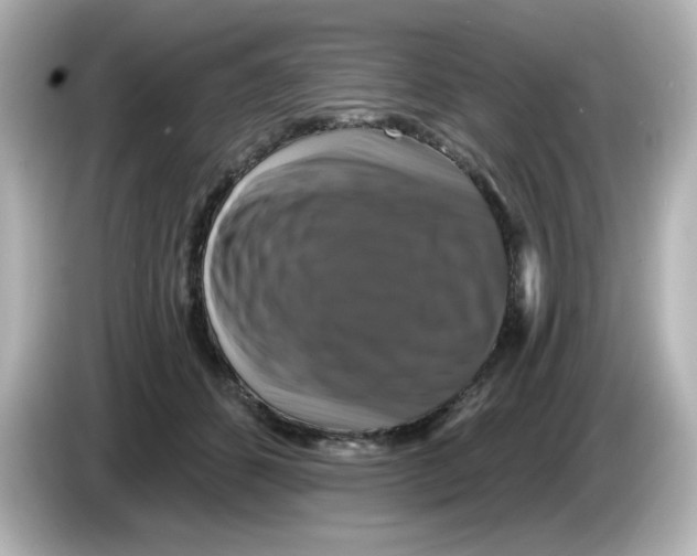 X0000085770512200704091355