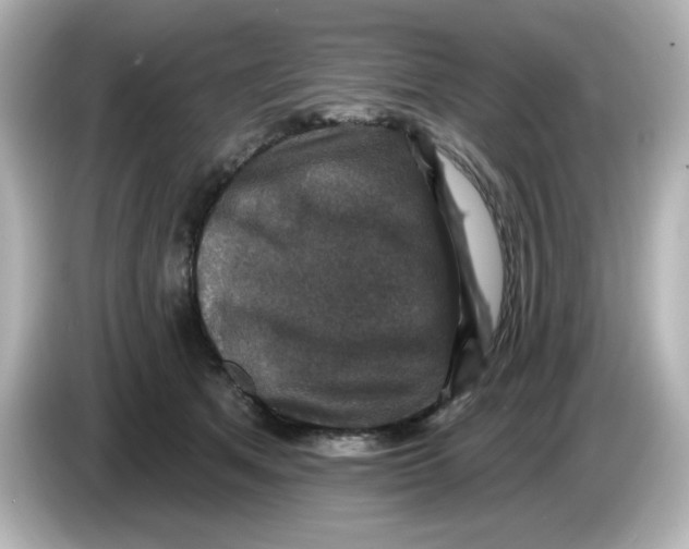 X0000085770513200704091355