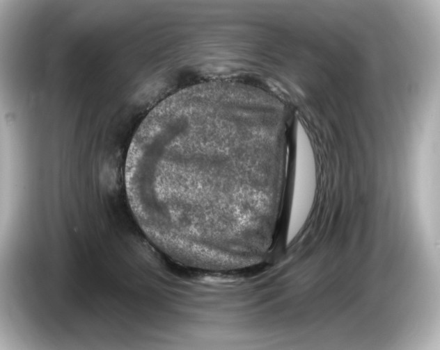 X0000085770515200704091355