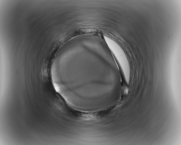 X0000085770516200704091355