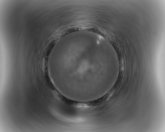 X0000085770519200704091355