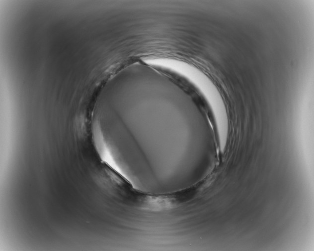 X0000085770520200704091355