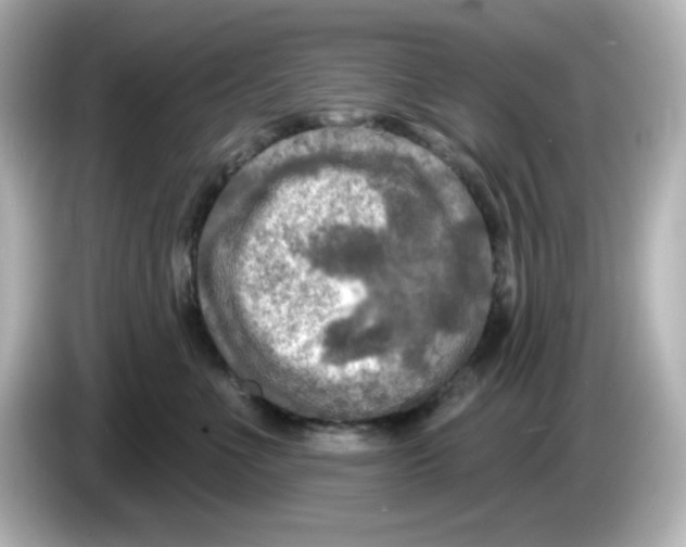 X0000085770523200704091355