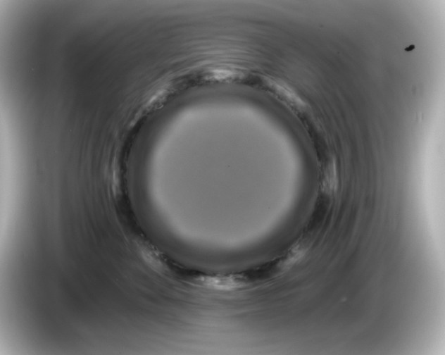 X0000085770524200704091355