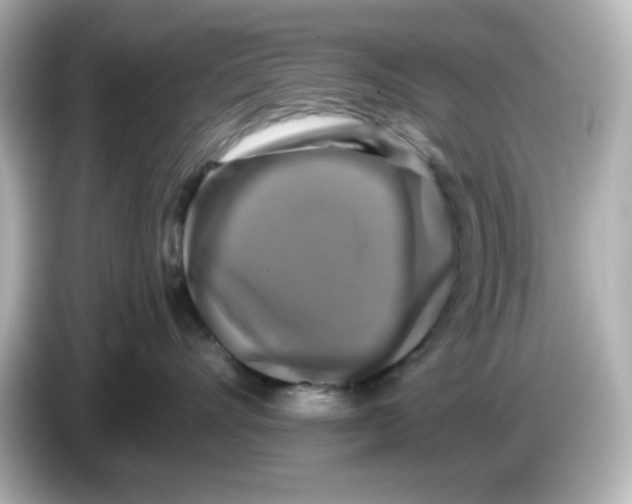 X0000085770528200704091355