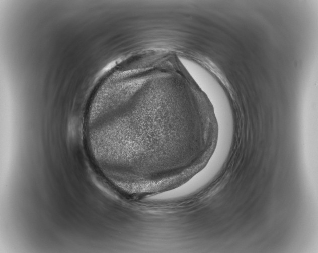 X0000085770530200704091354