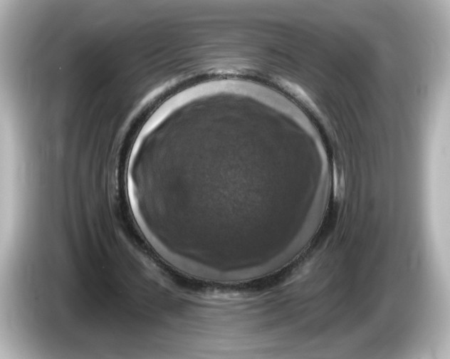 X0000085770531200704091354