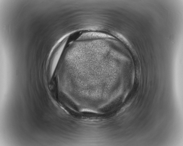 X0000085770532200704091354