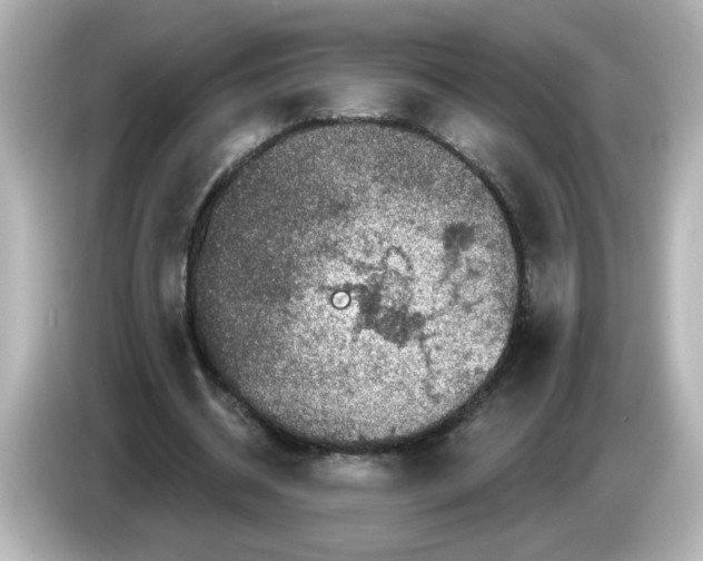 X0000085770534200704091354