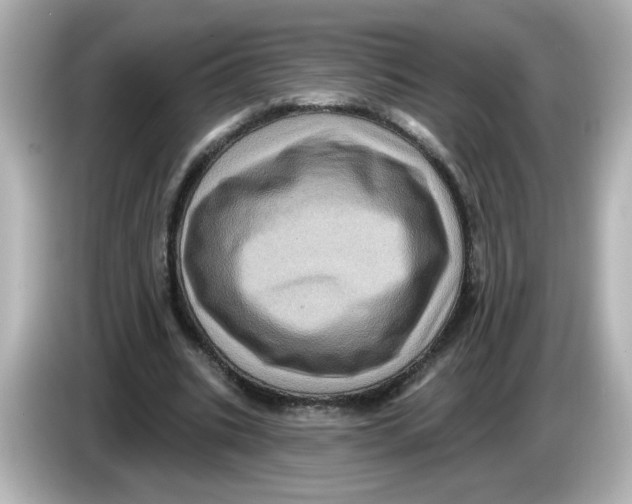 X0000085770535200704091354