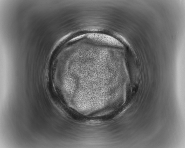 X0000085770536200704091354