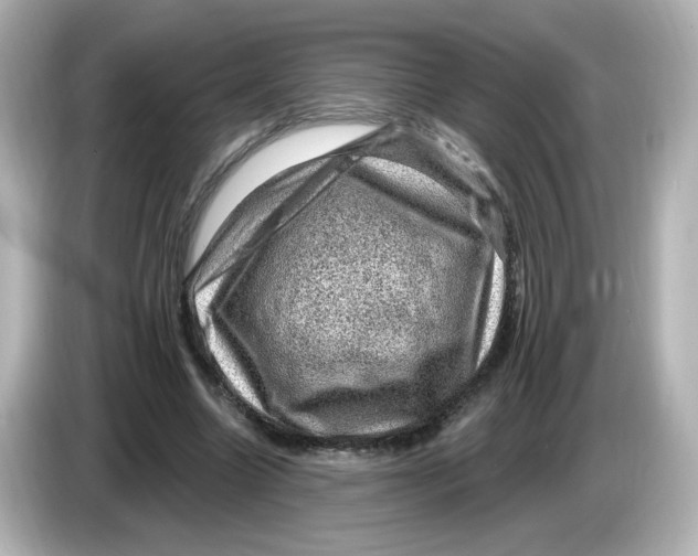 X0000085770538200704091354