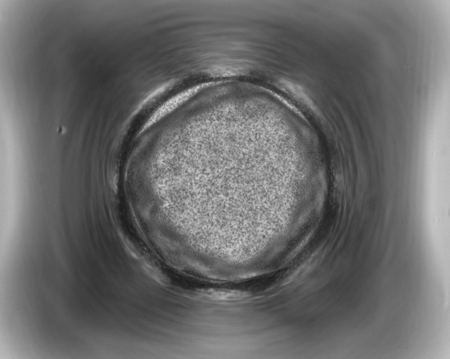 X0000085770539200704091354