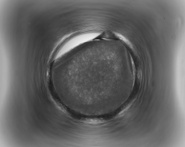 X0000085770540200704091354