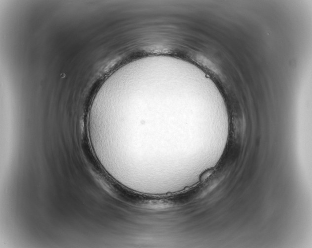 X0000085770541200704091354