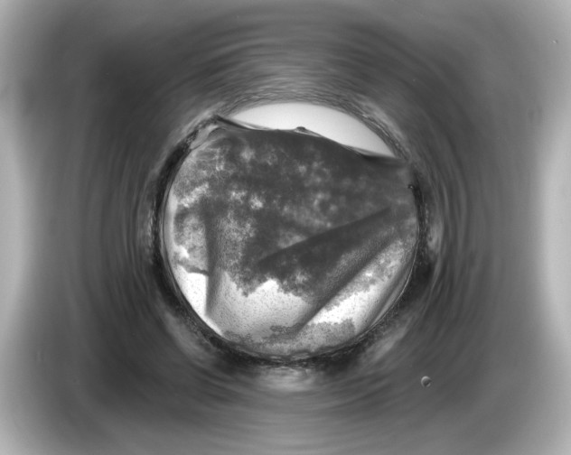 X0000085770542200704091354