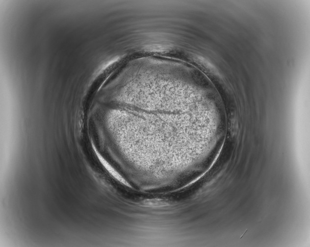 X0000085770544200704091354