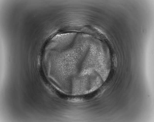 X0000085770546200704091354