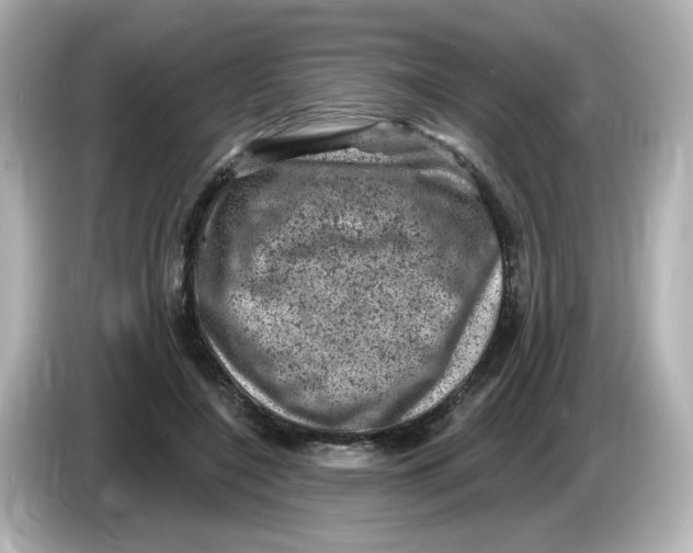 X0000085770548200704091354