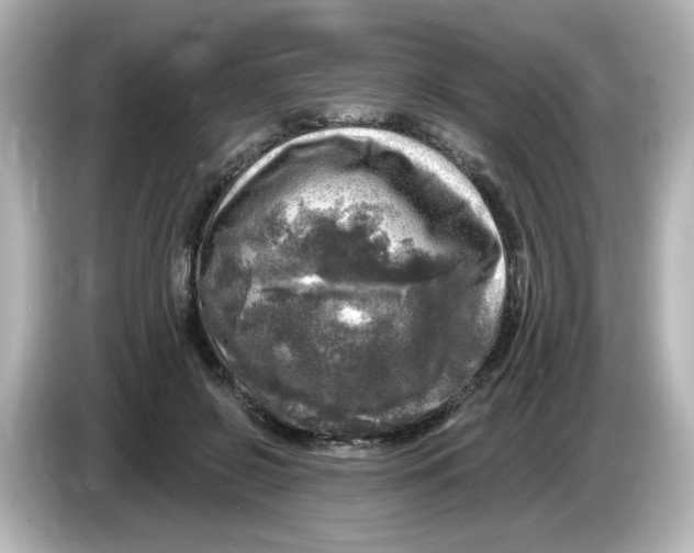 X0000085770550200704091354