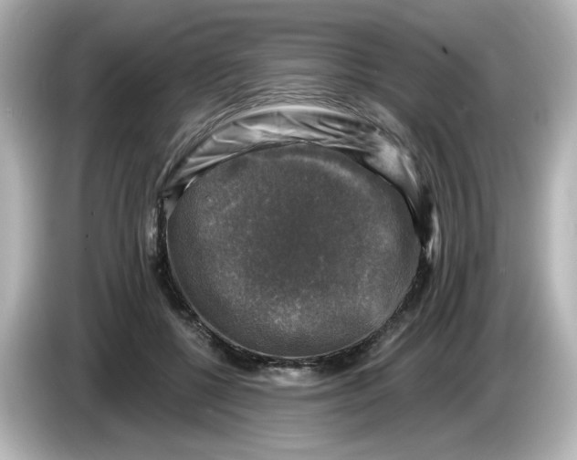 X0000085770552200704091354