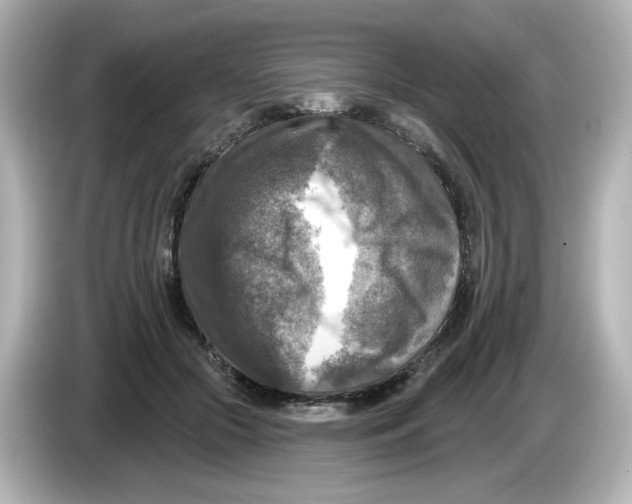 X0000085770553200704091354