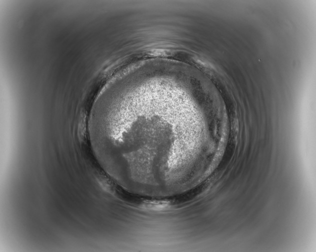 X0000085770554200704091354