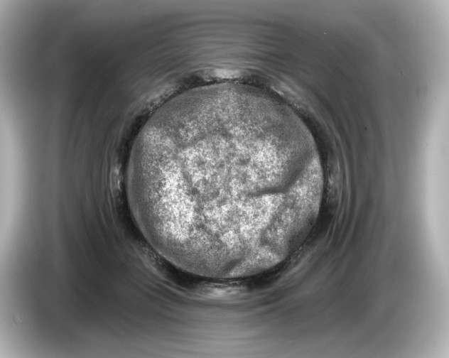 X0000085770555200704091354