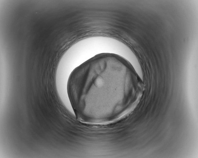 X0000085770556200704091354