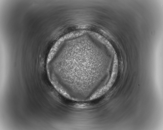 X0000085770557200704091354